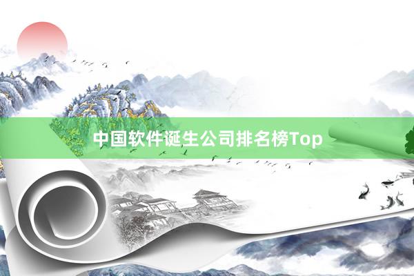 中国软件诞生公司排名榜Top