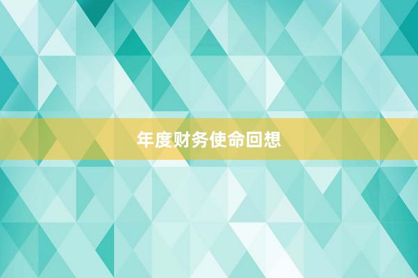 年度财务使命回想